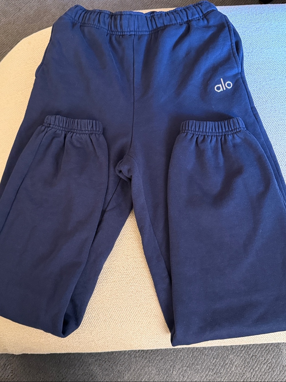 ALO Accolade Jogger Sweatpants - Picture 4 of 6